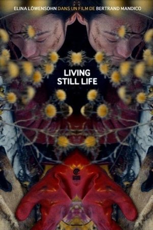 Living Still Life poster