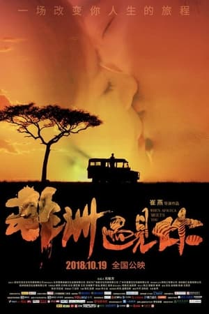 Poster When Africa Meets You (2018)
