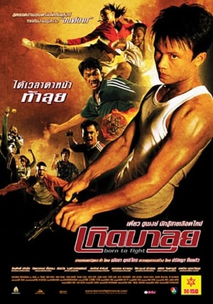 Poster 天生拳霸 2004