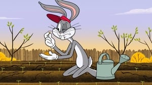 New Looney Tunes Season 1 Episode 23