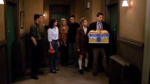 Friends Temporada 1 Capitulo 19