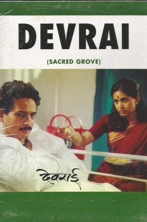 Poster Devrai 2004