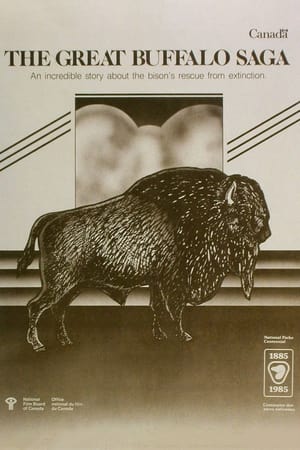 Poster The Great Buffalo Saga (1985)