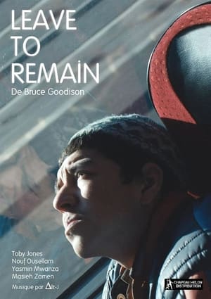 Poster Leave to Remain (2013)