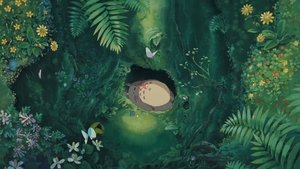 My Neighbor Totoro (1988)