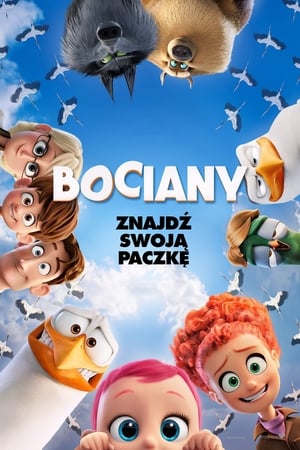 Bociany 2016