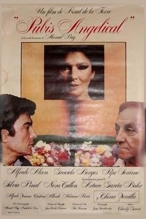 Poster Pubis angelical 1982