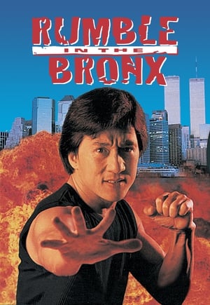 Download Rumble in the Bronx (1995) Dual Audio {Hindi-English} BluRay 480p [300MB] | 720p [800MB] | 1080p [1.9GB]