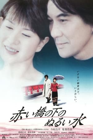 Poster 赤桥下的暖流 2001