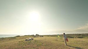 Journeys in Japan: 11×8