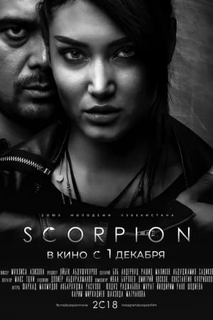 Poster Scorpion 2018