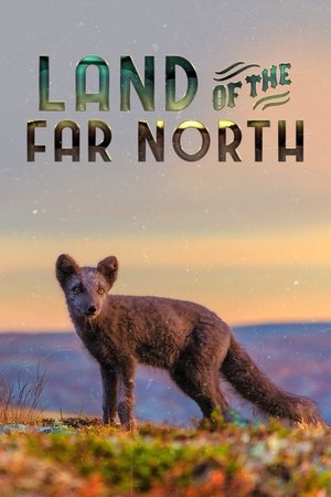 Poster Land of the Far North 2020