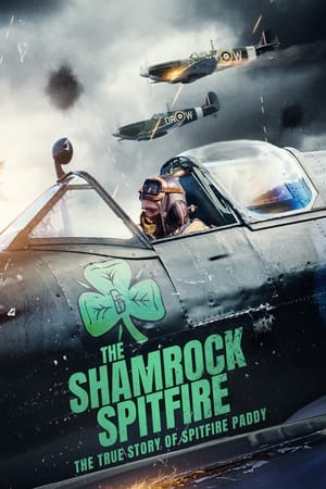 Poster The Shamrock Spitfire 2024