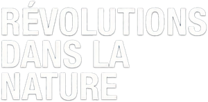 Révolutions dans la nature - S1 - Épisode 4 : La course des sardines - Logo