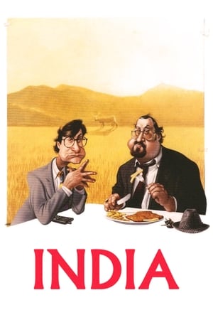 India 1993