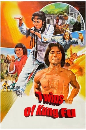 Poster Twins of Kung Fu (1981)