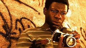 City of God 2002