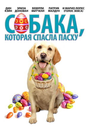 Собака, cпасшая Пасху