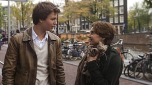 مشاهدة فيلم The Fault in Our Stars 2014 مترجم