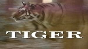 Predators of the Wild: Tiger film complet