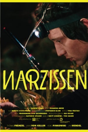 Poster Narzissen 2007