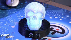 Skully (1)