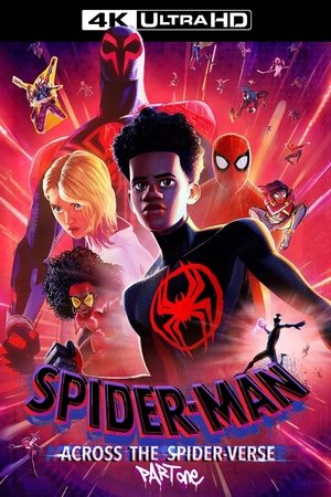 poster Spider-Man: Across the Spider-Verse