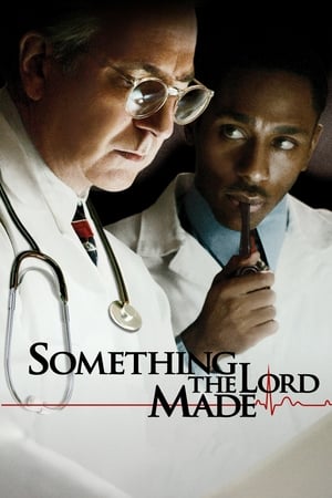 Poster Something the Lord Made 2004
