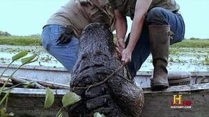 Swamp People: 3×4