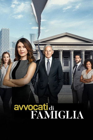 Avvocati di famiglia: Stagione 1