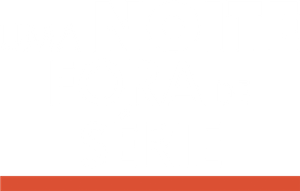 Uma Noite Fora de Série