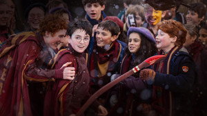 À Procura de Harry: A Arte por Trás da Magia