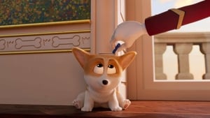 Corgi, las mascotas de la reina Película Completa HD 1080p [MEGA] [LATINO] 2019