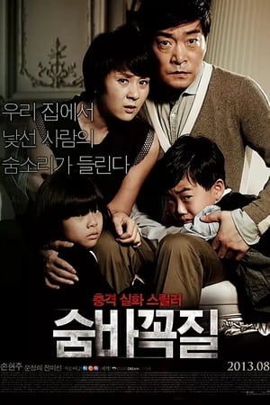 Poster 숨바꼭질 2013