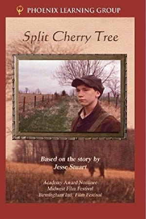 Split Cherry Tree 1982