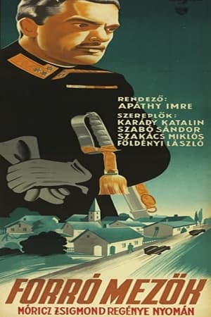 Poster Forró mezők 1948