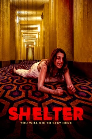 Image Shelter: You will die To Stay Here