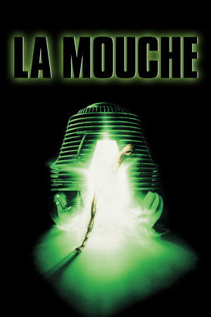 The Fly 211