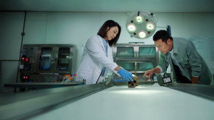 Giải Mã Trọng Án