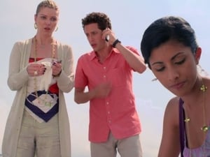 Royal Pains: 1×11