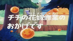 Dragon Ball - Dragon Ball - Saison 1 - Chichi femme idéale - image n°1