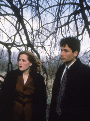 X-Files : Aux frontières du réel - Saison 2 - poster n°6