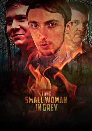 Poster The Small Woman in Grey 2017