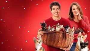 The Nine Kittens of Christmas (2021)