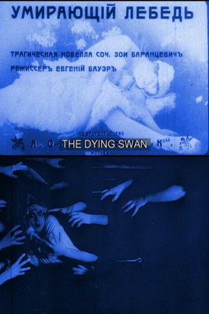 The Dying Swan 8