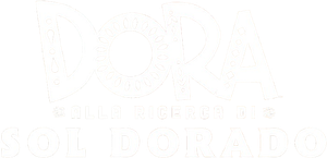 Dora e a Busca pelo Sol Dourado — Logos 7