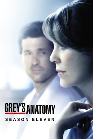 Grey's Anatomy: Säsong 11