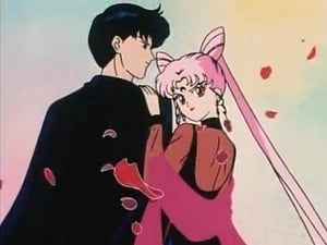 Sailor Moon: 2×41