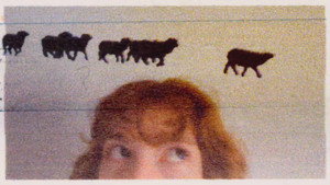 3 Lambs still 1