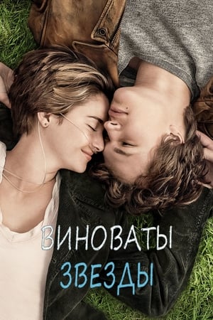 Poster Виноваты звезды 2014